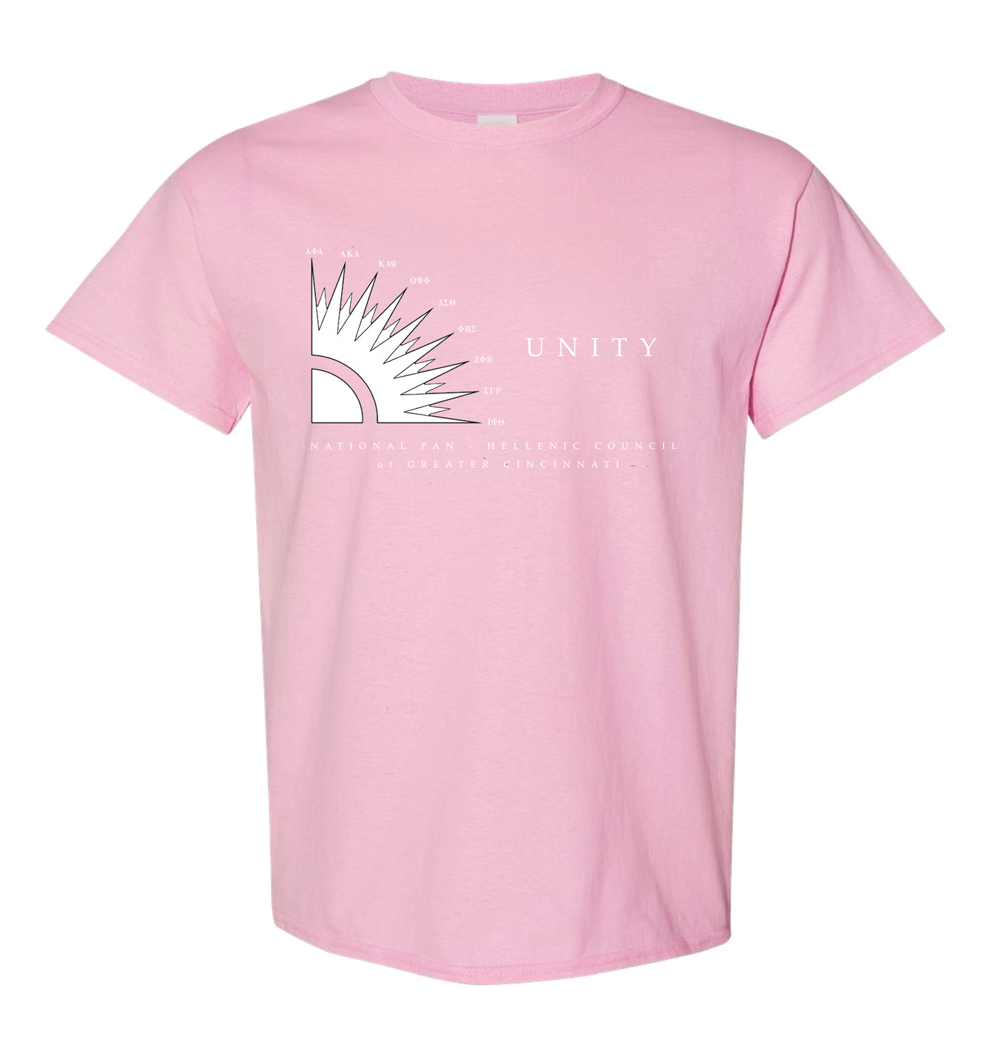 NPHC Cincinnati Picnic 2023 T-Shirt