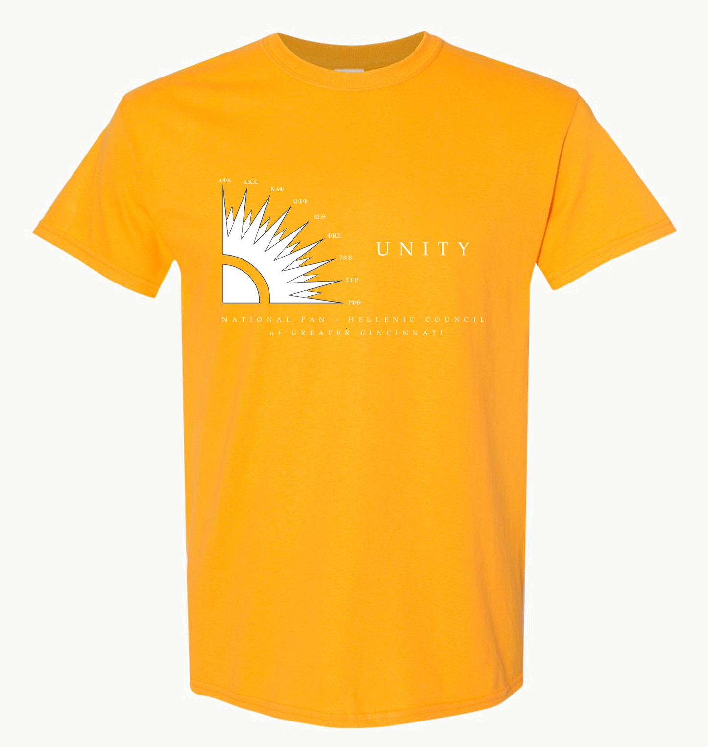 NPHC Cincinnati Picnic 2023 T-Shirt