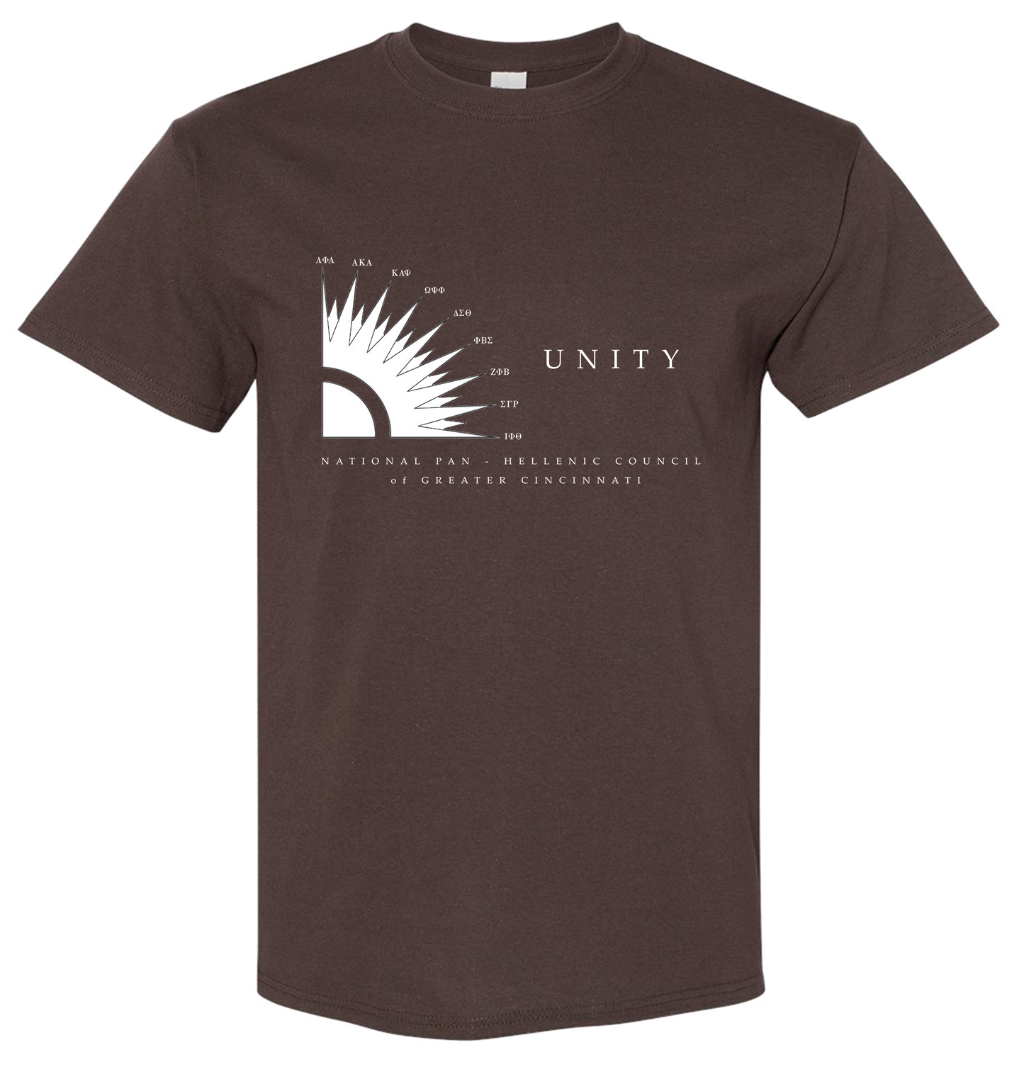 NPHC Cincinnati Picnic 2023 T-Shirt