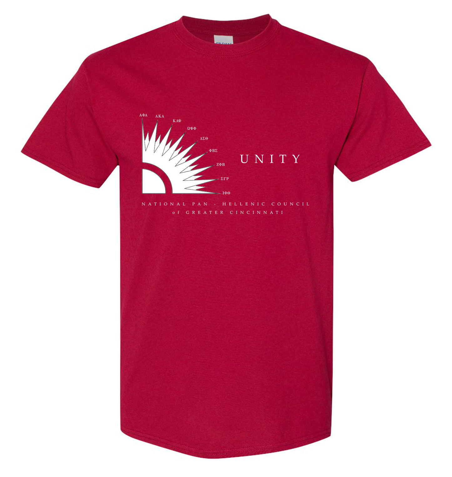 NPHC Cincinnati Picnic 2023 T-Shirt