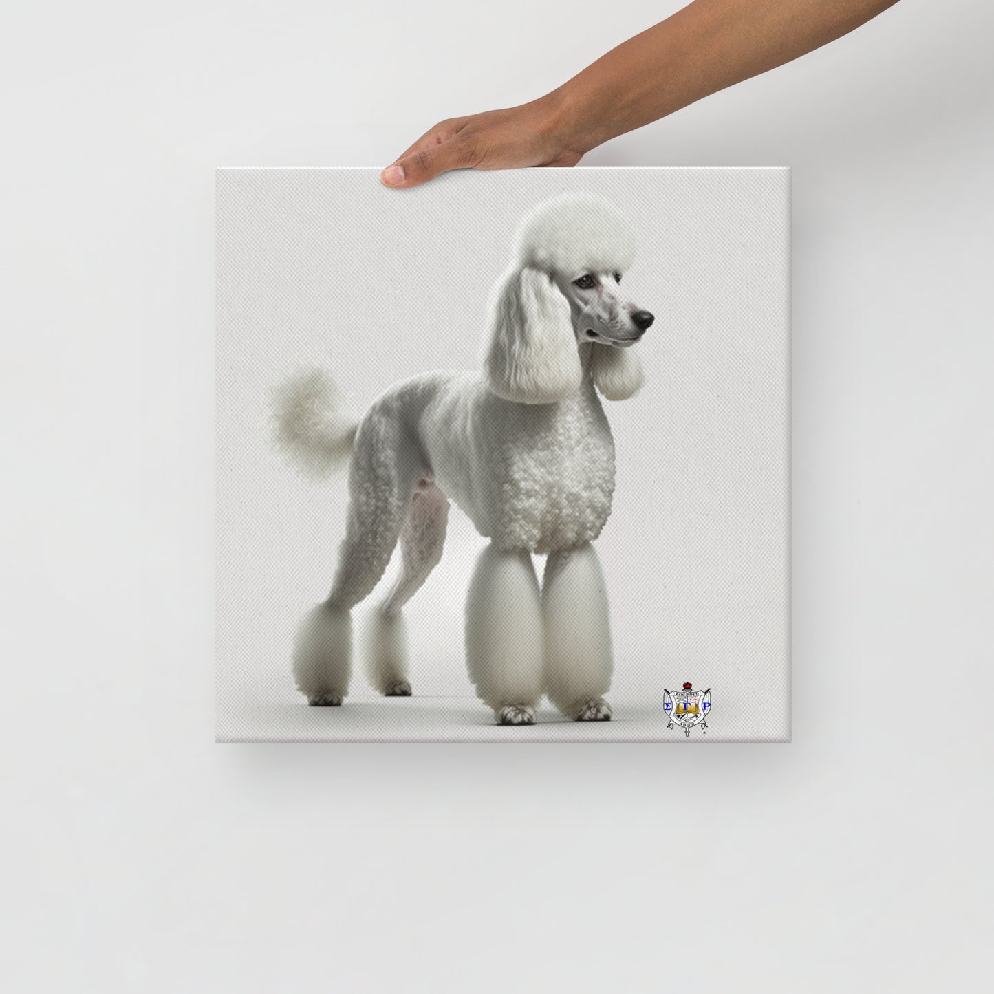 White Standard Poodle Canvas